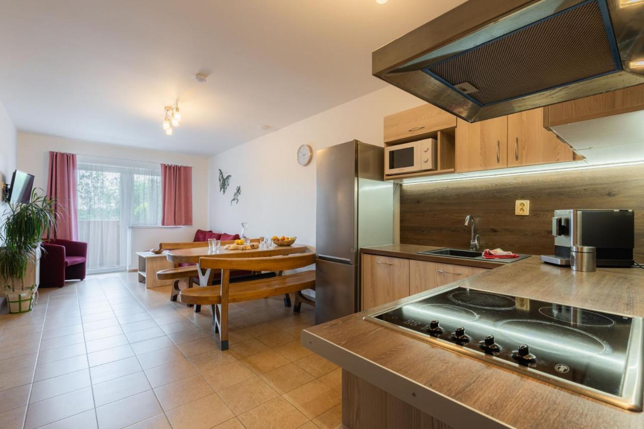 Apartments Nad Rybniky Horní Planá Kültér fotó