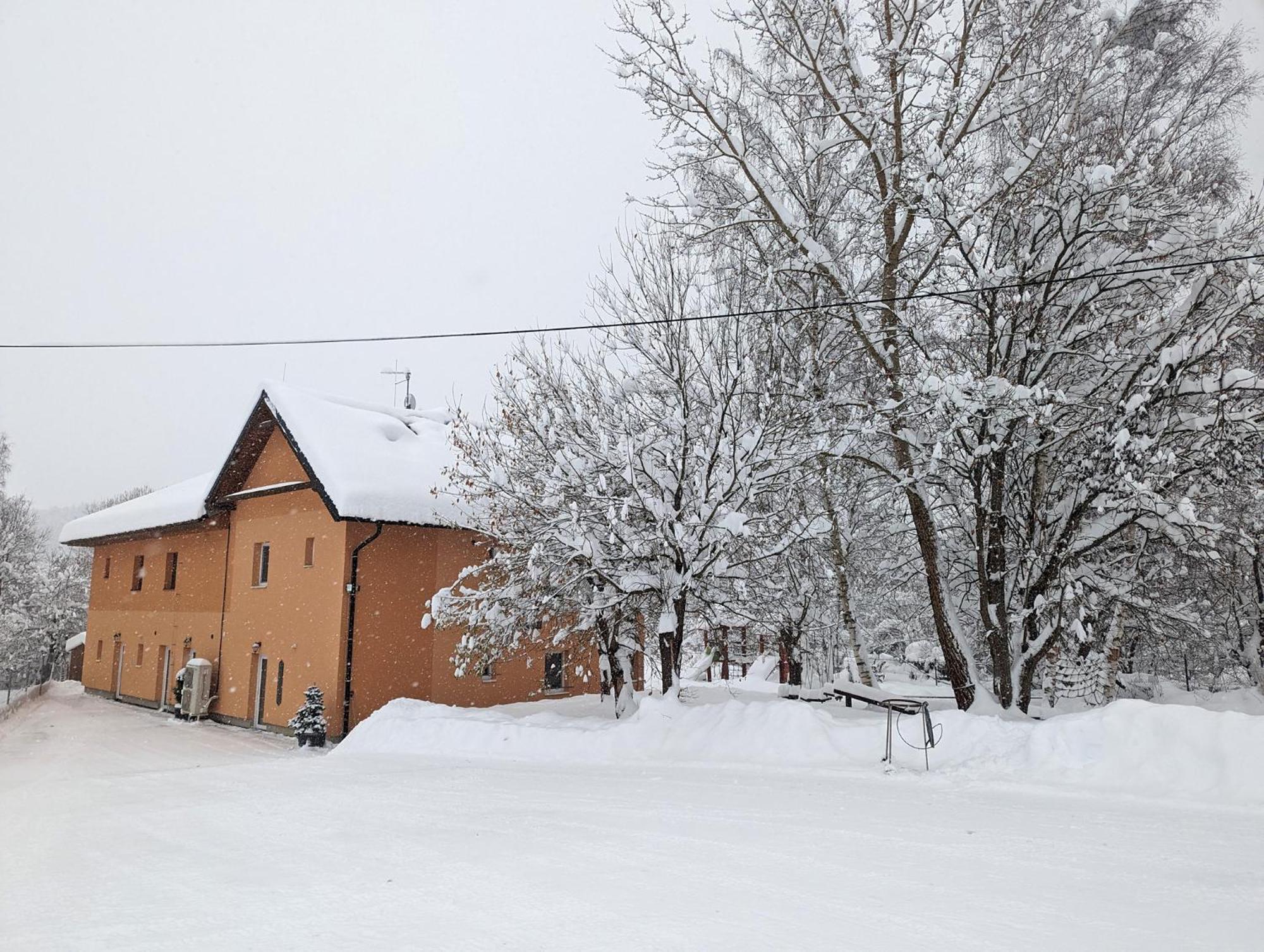 Apartments Nad Rybniky Horní Planá Kültér fotó